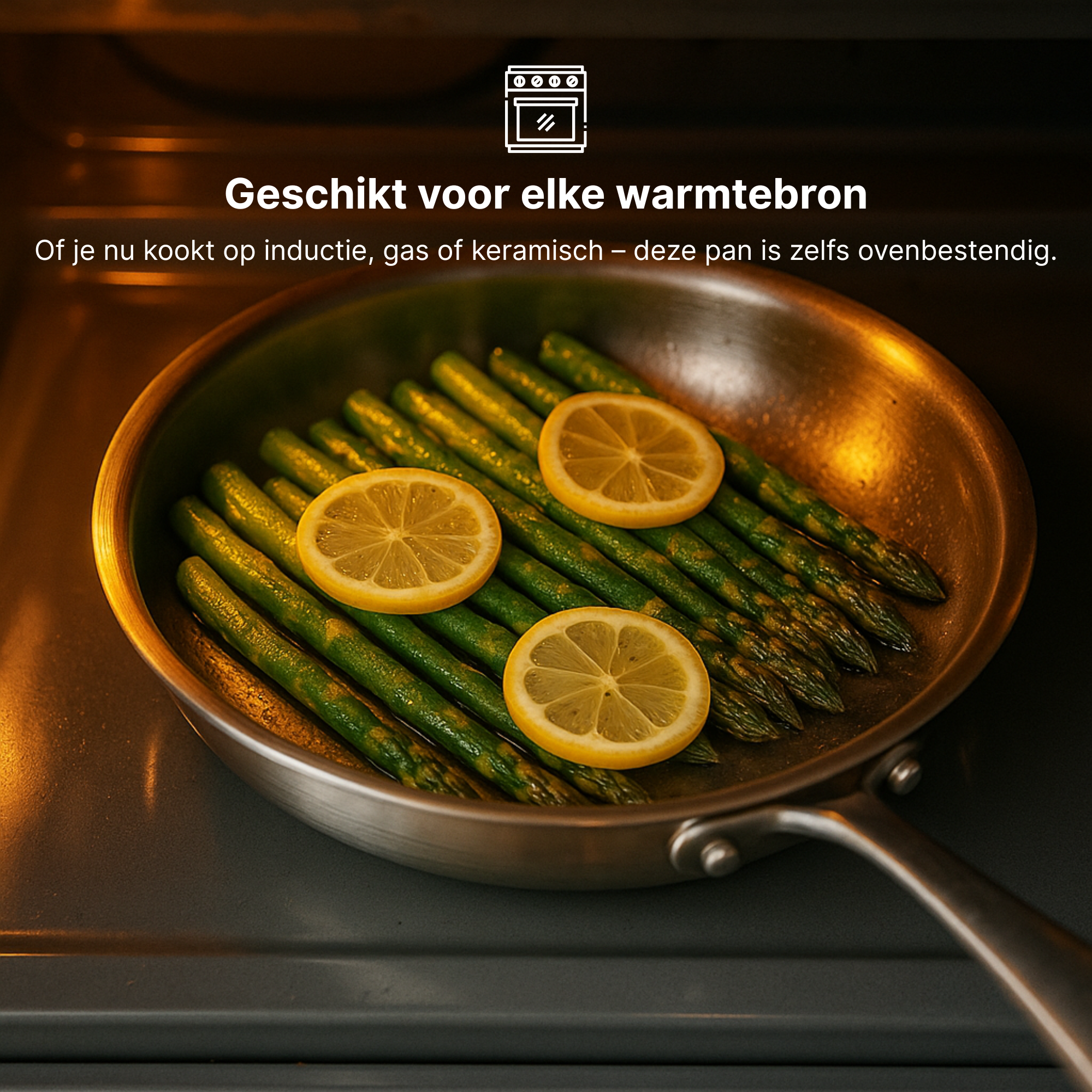 Titanium Gehamerde Pan Pro